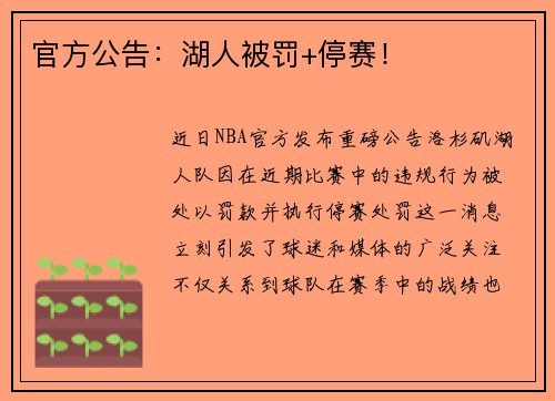 官方公告：湖人被罚+停赛！